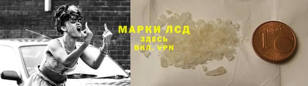 гидра Аркадак