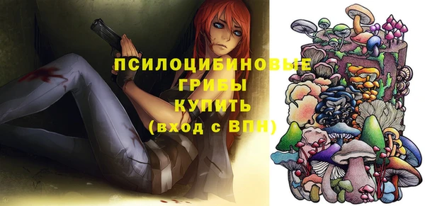 гидра Аркадак