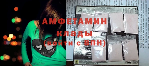 гидра Аркадак