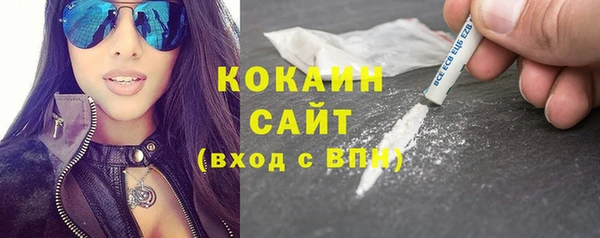 гидра Аркадак