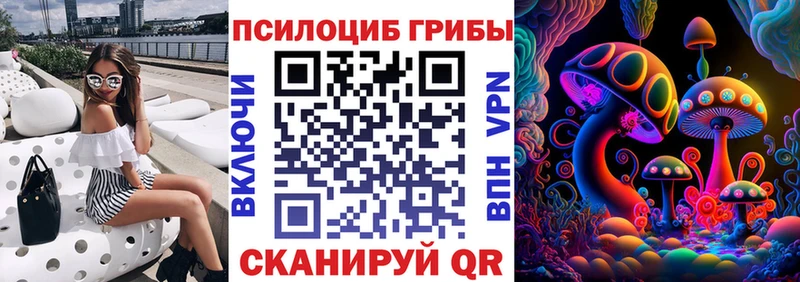 Купить закладки  Хадыженск  Галлюциногенные грибы Psilocybe 